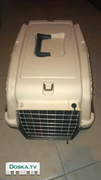 клетка перевозка для кошек