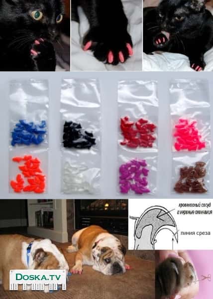 накладные силиконовые ногти для собак и кошек.  Мягкие силиконовые