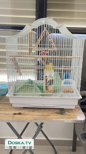 Клетка для попугая в хорошем состоянии. Есть остатки корма