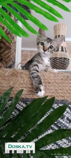 Варя (Варвара) - самый интересны возраст , познаёт мир ,