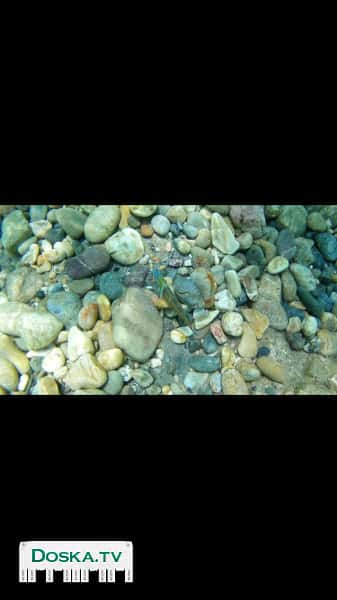 Водонепроницаемая экшен камера, использовалась несколько раз, состояние 10 из 10