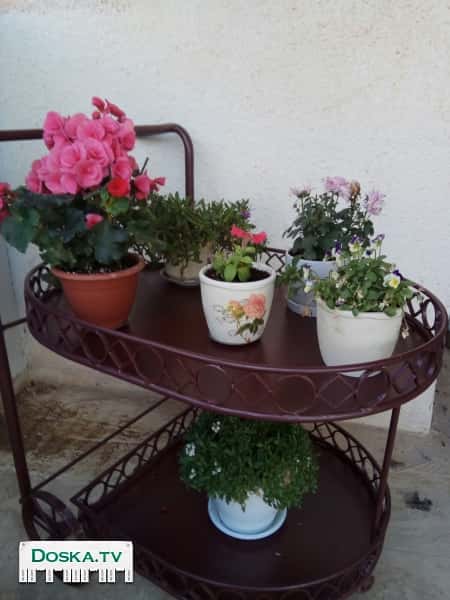 железную тележку. Ручной работы. Цена договорная.