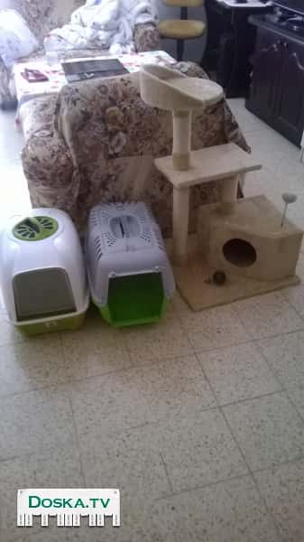 Набор для кошек плюс писок в подарок.
