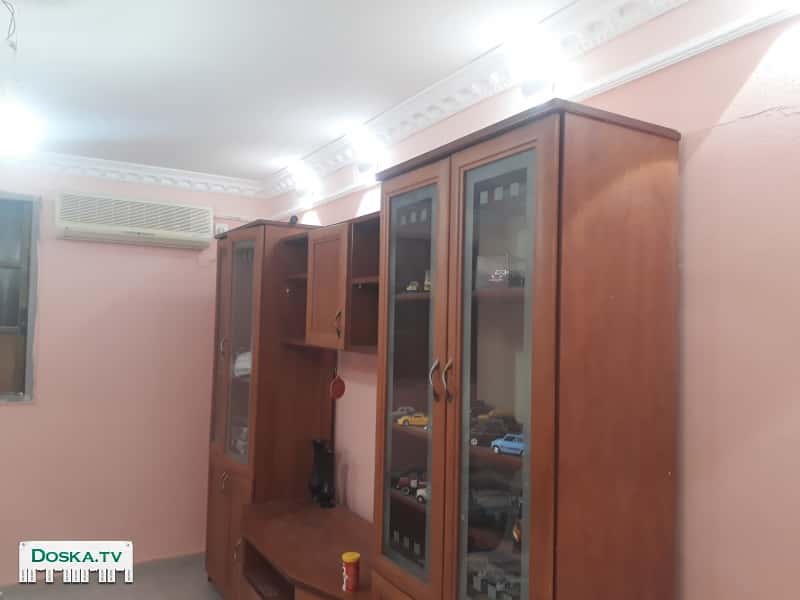 Отдам бесплатно.