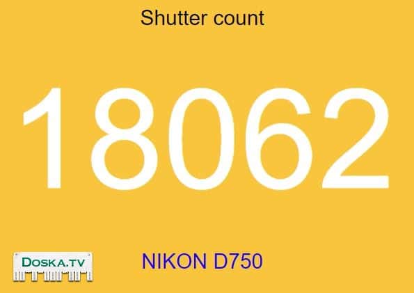 Никон Д750 с СИГМА 100-400 в прекрасном состоянии ,выдает снимки