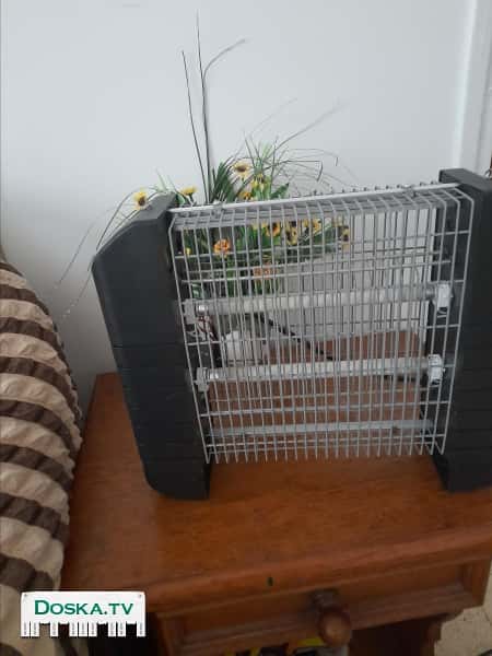 Электрический истребитель комаров Gold Line, модель PU-28 Gold Line ПУничтожитель